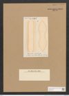 Surirella superba Grev. (de-Toni-Nr.: Genus 53, Species 2228) Zeichnungen Sammlung Grunow Nr. 4645 (NHMW-BOT-W0372704)